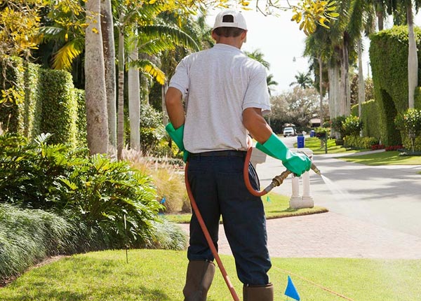 About Chilton TX Pest Control